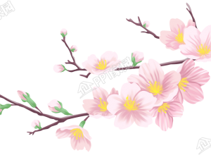 卡通手绘樱花花枝插画下载推荐