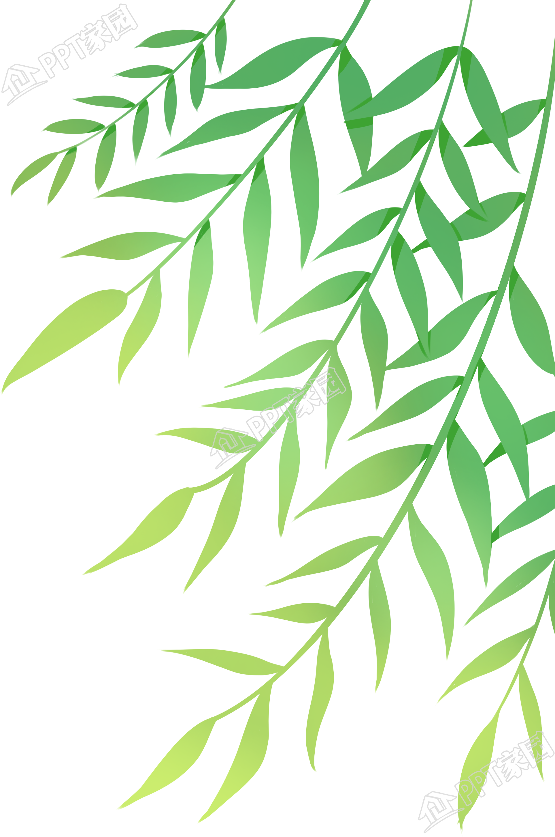 手绘清新植物柳条素材