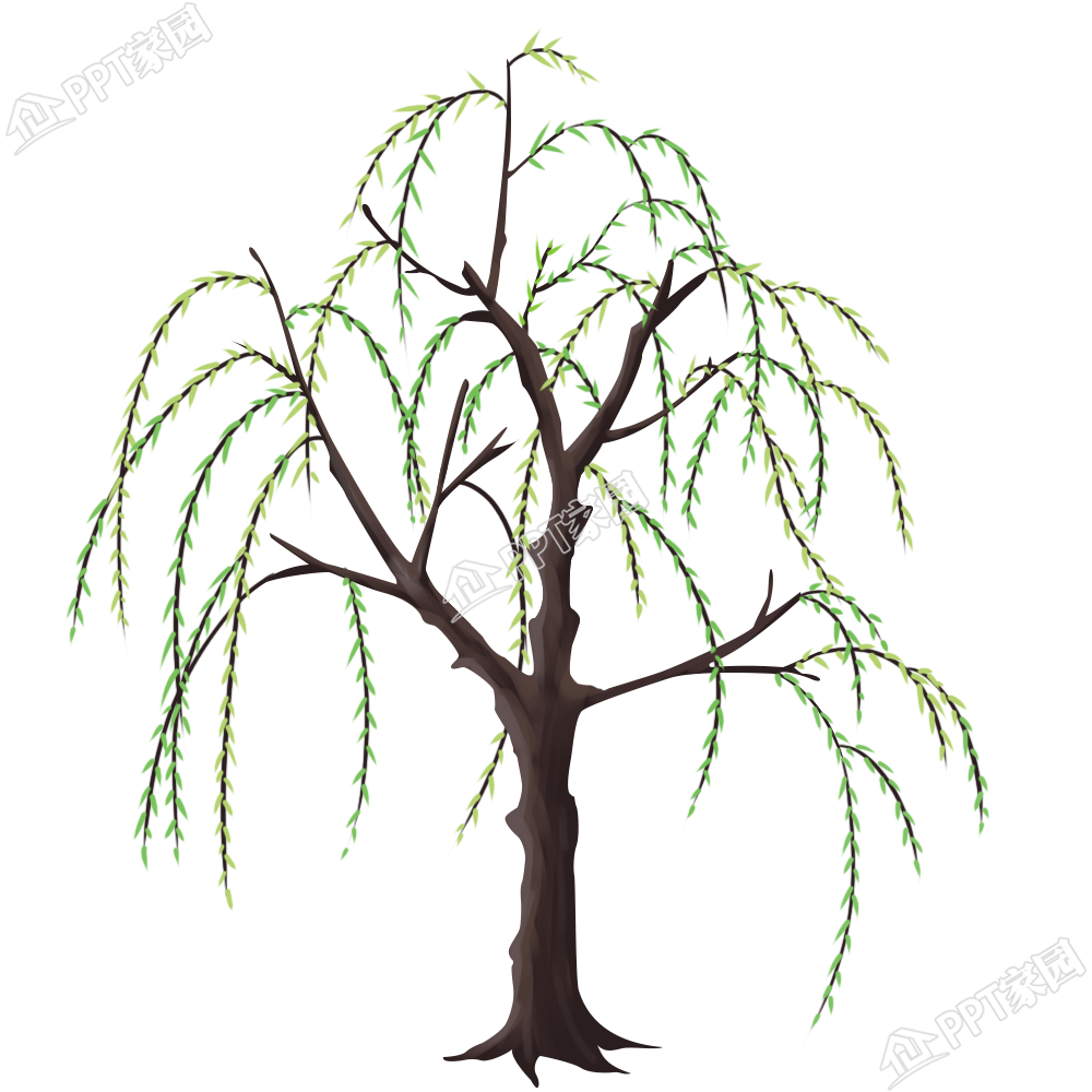 卡通手绘柳树植物素材