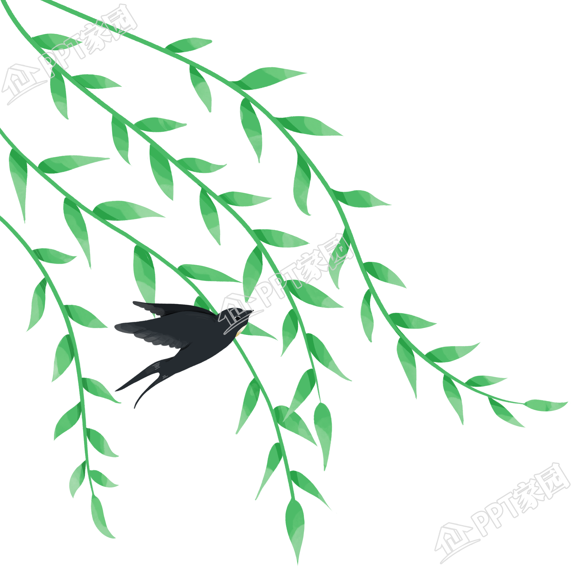 清新春天主题燕子图片免抠素材