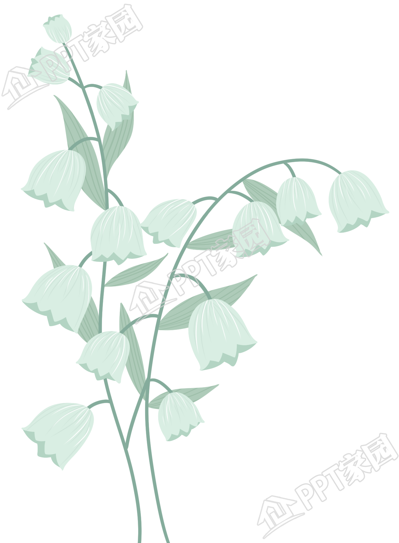 卡通手绘铃兰花图片素材