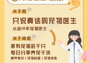 养宠干货分享宠物医生小红书封面下载推荐