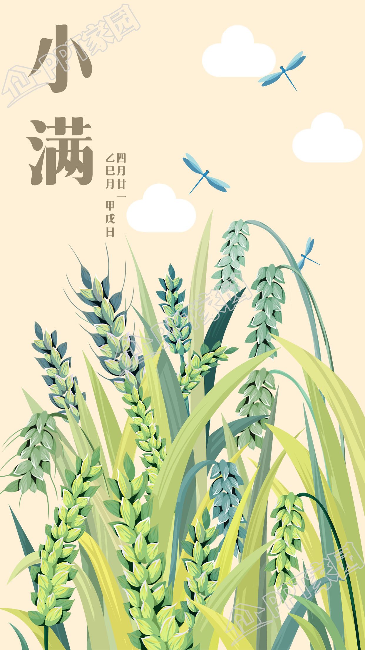 小满二十四节气麦穗蜻蜓手机海报