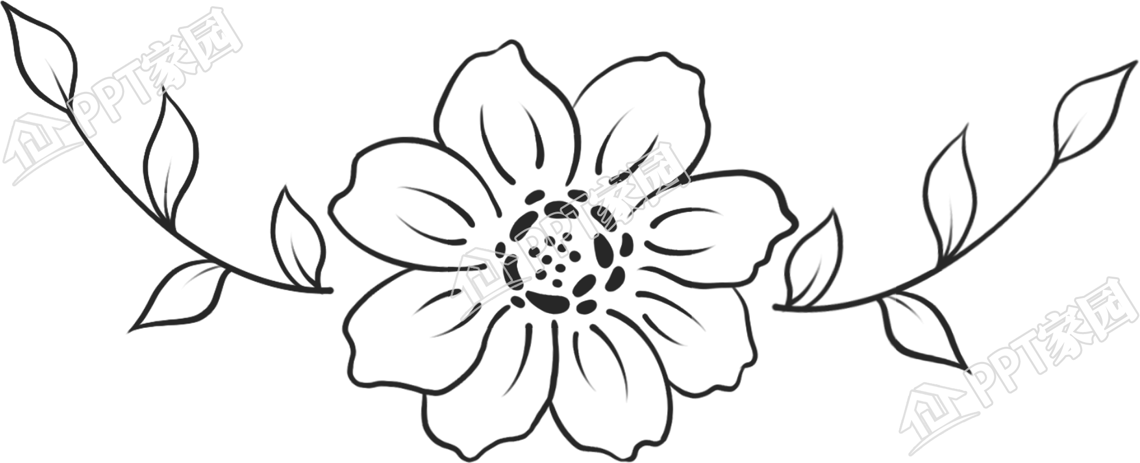 黑白花草线条图片卡通手绘免抠素材