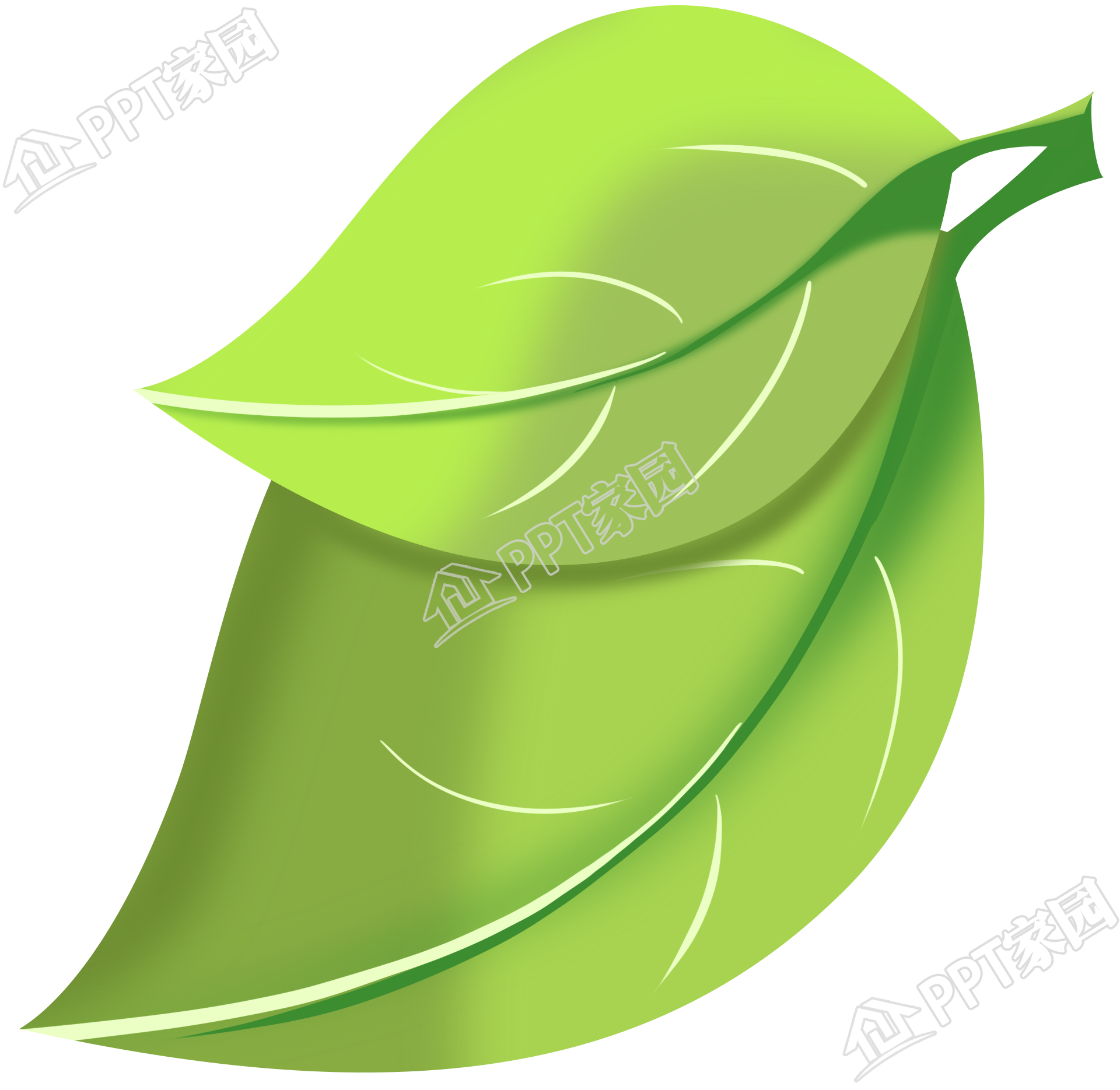 清新唯美绿色叶子图片装饰图案免抠素材