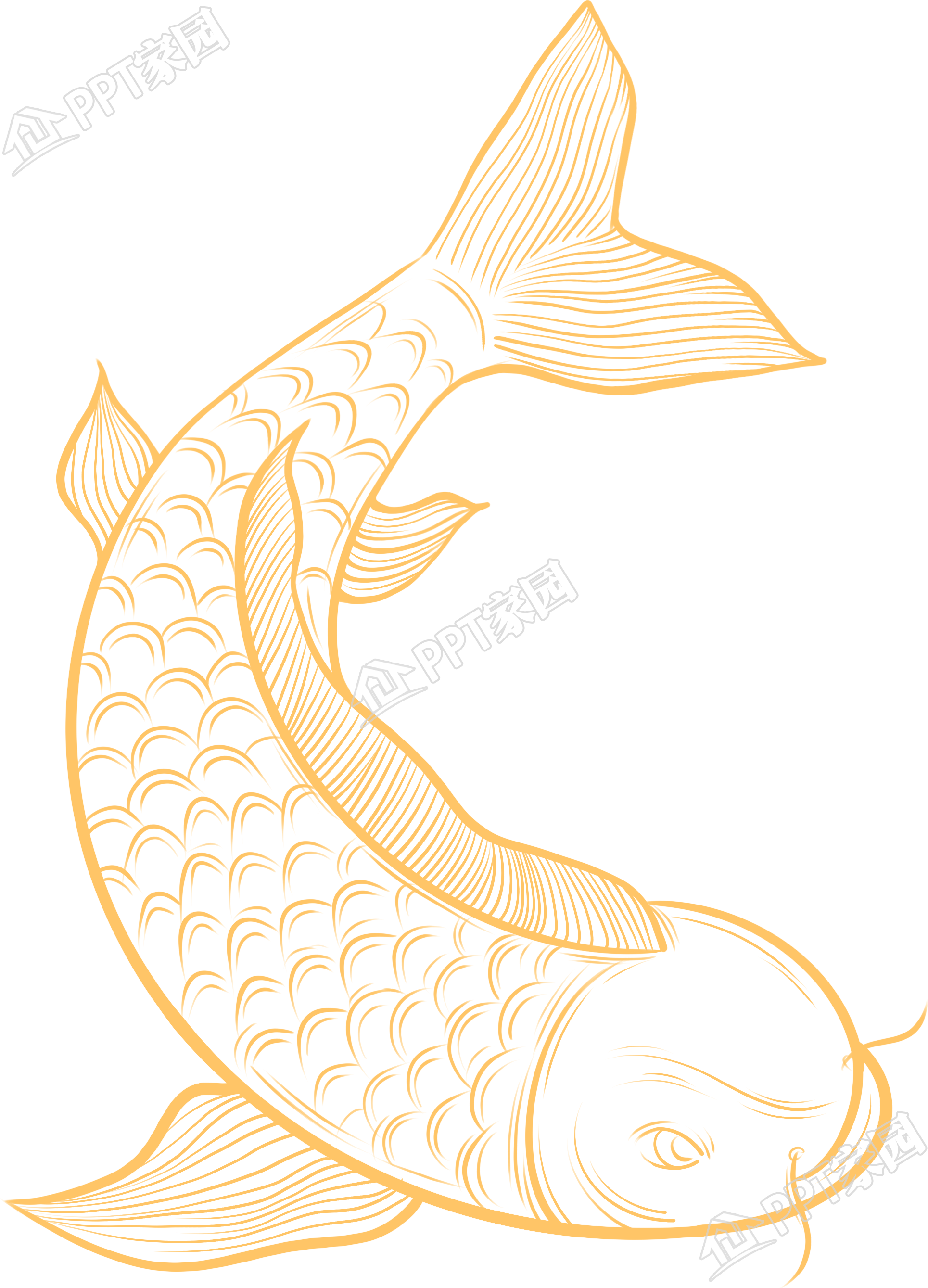 金色手绘简约线描鲤鱼图片素材