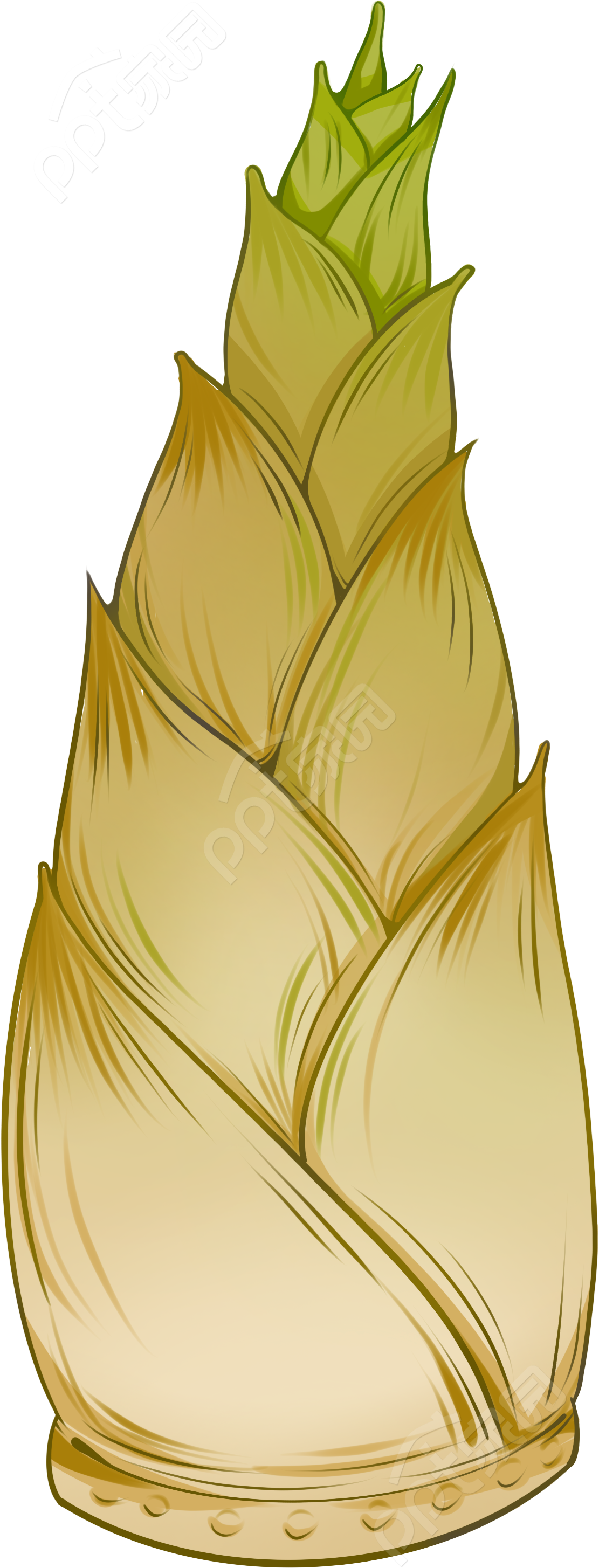 卡通手绘餐饮美食春笋透明底免抠图片素材