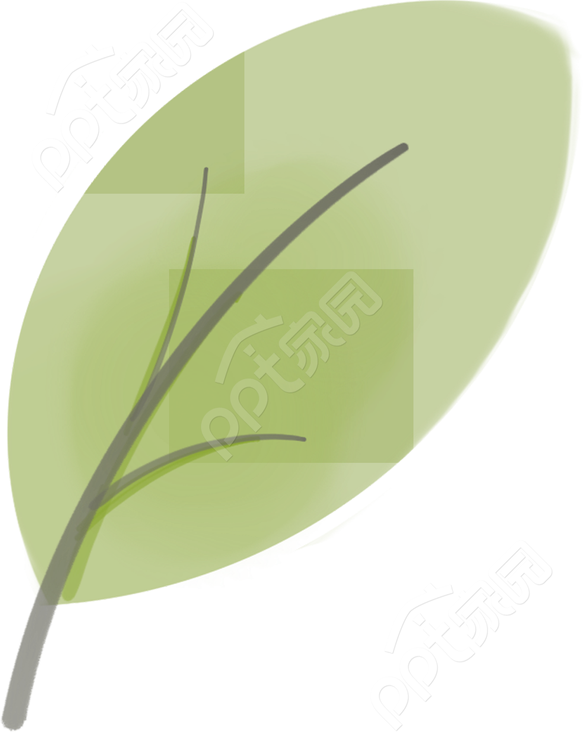 卡通手绘一片叶子植物图片免抠素材