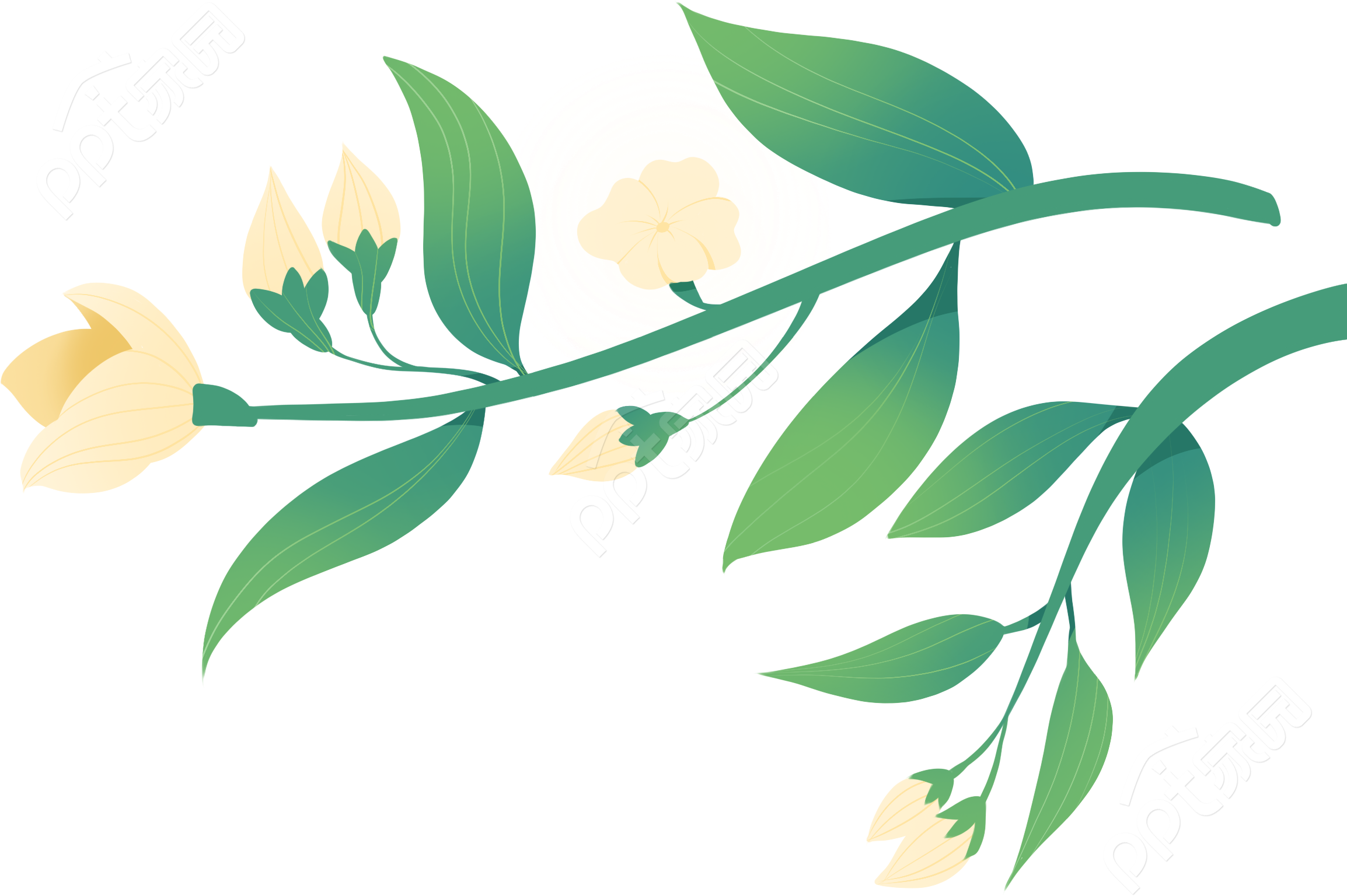 清新手绘花枝绿叶鲜花植物免抠图片素材