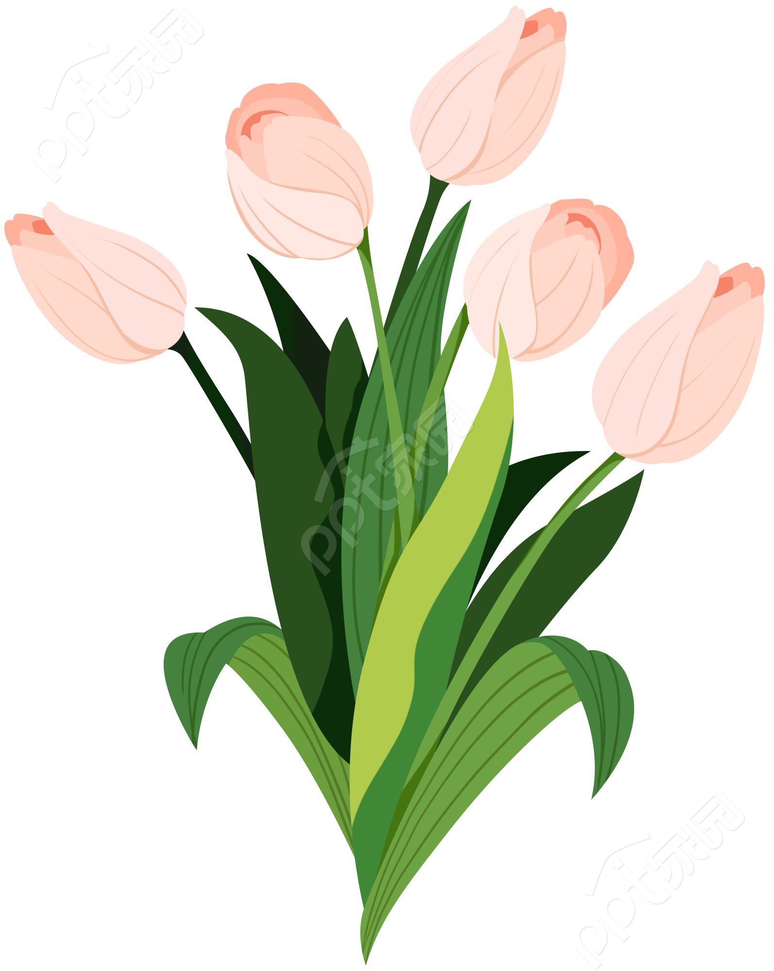 卡通手绘装饰植物郁金香花卉矢量图片素材