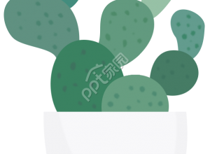仙人掌绿植办公商务图片素材下载推荐