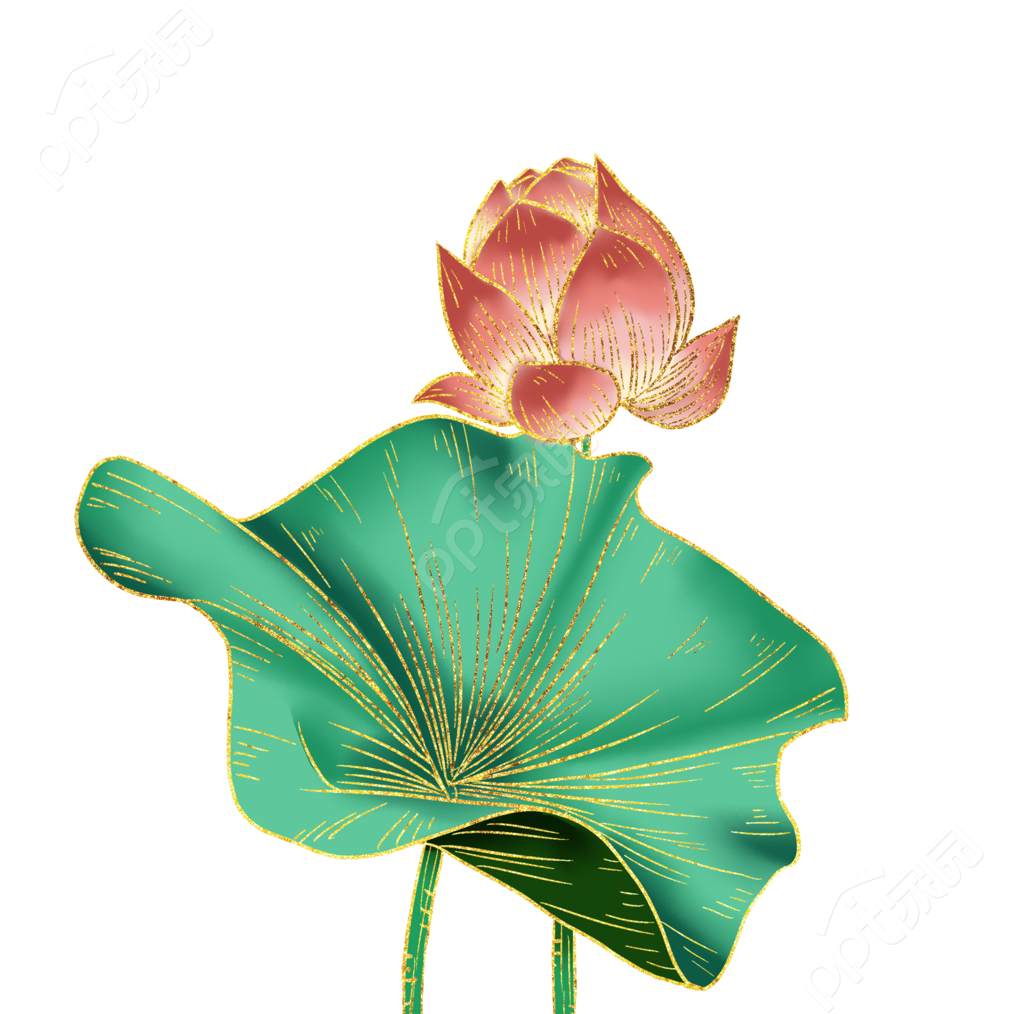 国潮荷花图片素材