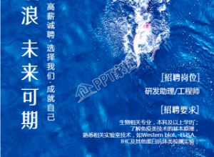 简约医疗招聘宣传手机海报下载推荐