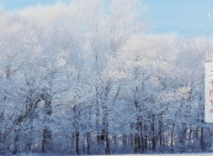 小雪二十四节气的冬天问候公众号首图下载推荐