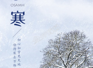 小寒节气下了雪的风景手机海报下载推荐
