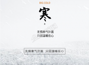 大寒节气雪林风景的手机海报下载推荐