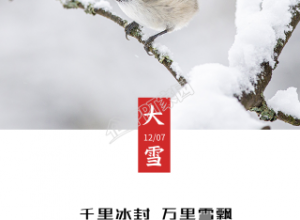 大雪节气枝头鸟雀雪景实景海报下载推荐