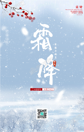 雪天枝头背景的霜降手机海报