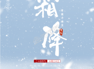 雪天枝头背景的霜降手机海报下载推荐