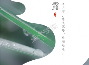 寒露节气不规则背景实景日历海报下载推荐
