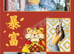 虎年老虎财神暴富元宝金币三图拼图下载推荐