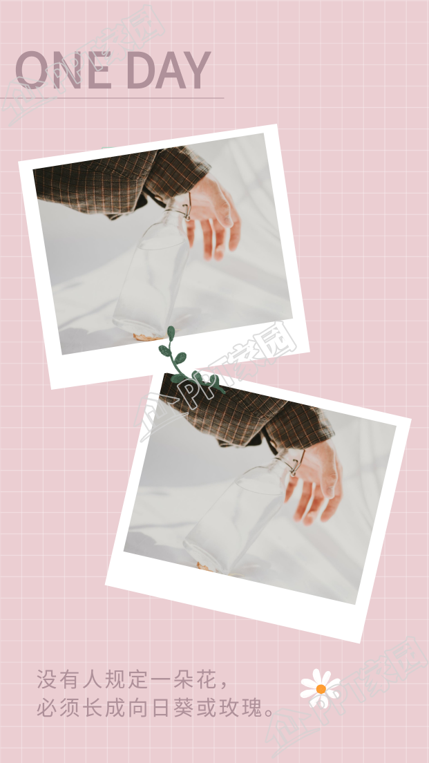 粉色网格相片记录分享双图竖形拼图