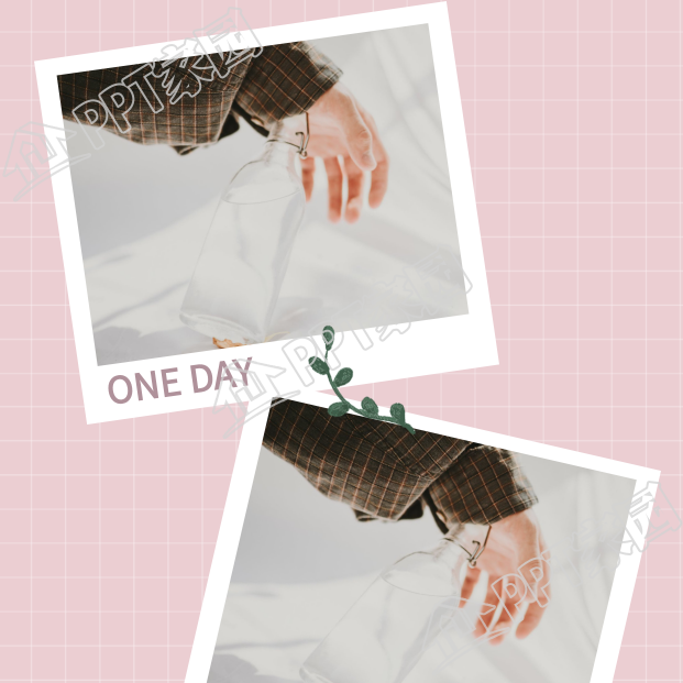 粉色网格相片记录分享上下双图正方形拼图