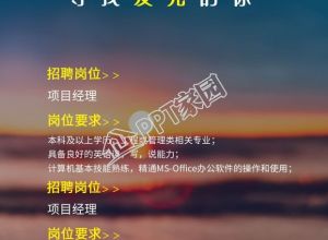 招聘岗位要求实景海滩背景手机海报下载推荐