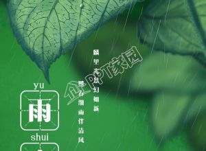二十四节气雨水田字格手绘绿叶雨滴手机海报下载推荐