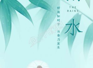 传统二十四节气雨水清新手机海报下载推荐