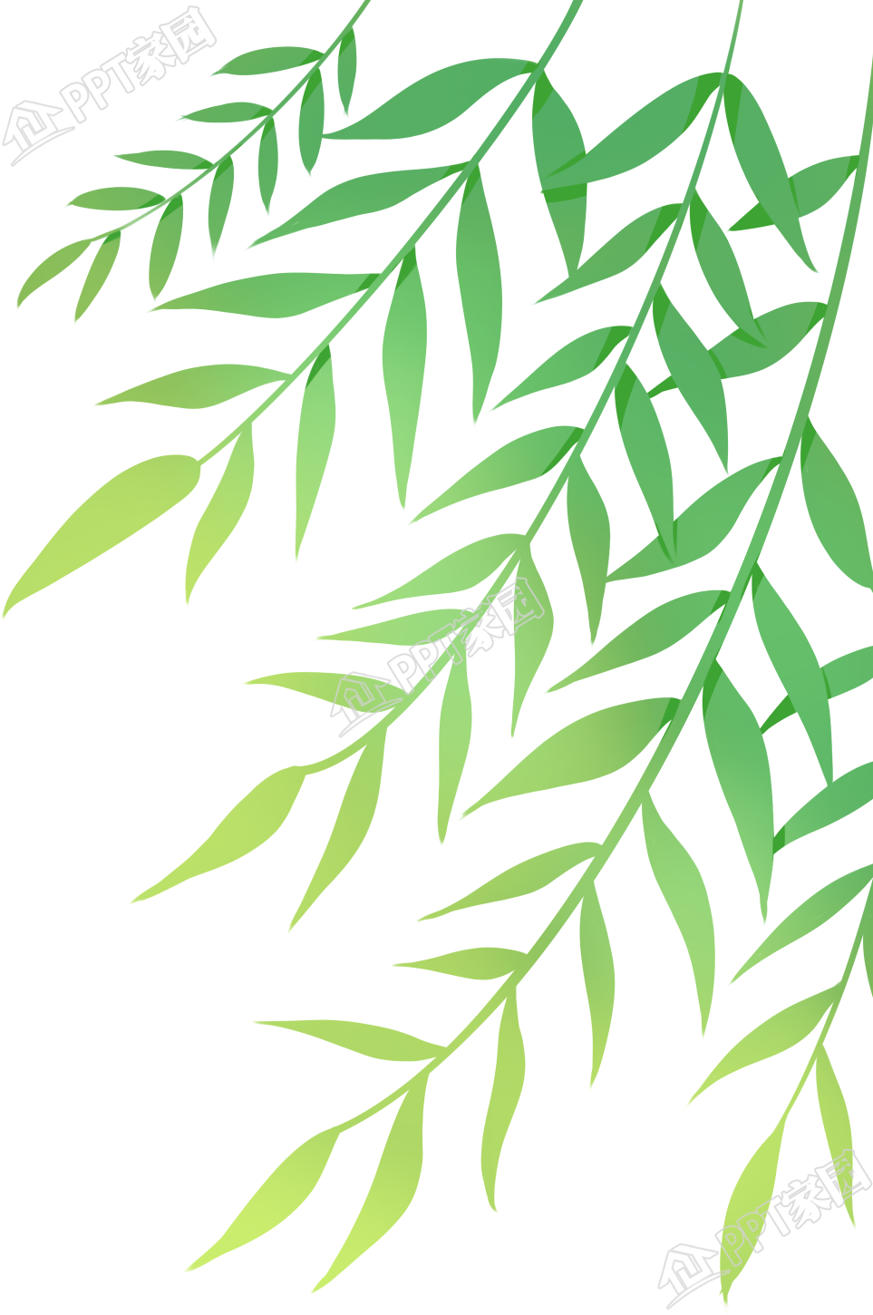 手绘清新植物柳条素材