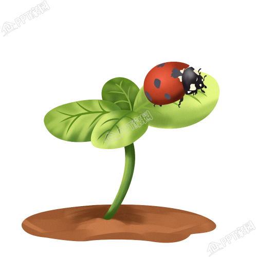 卡通手绘趴在植物上的七星瓢虫素材下载推荐