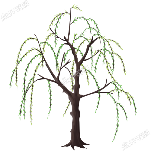 卡通手绘柳树植物素材