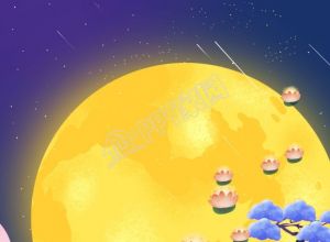 满月荷花灯流星树枝夜空星空浪漫粉色云朵背景下载推荐