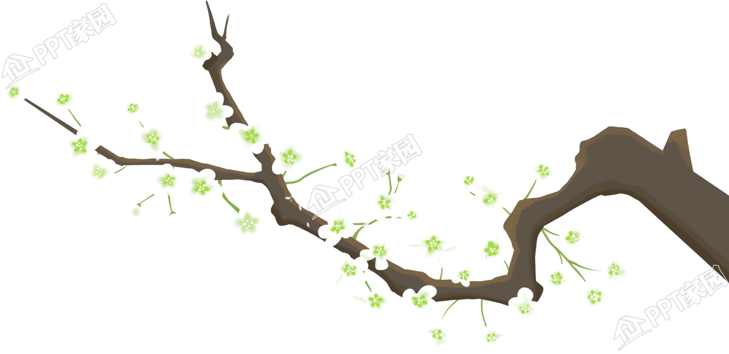 手绘春季白色花枝图片免抠素材