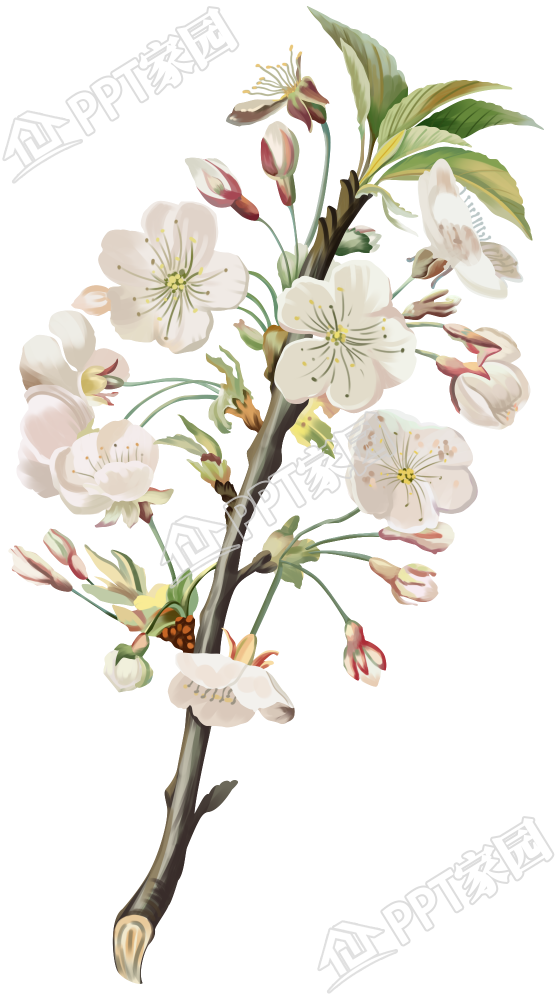 手绘漂亮的花束免抠图片素材