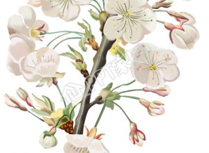 手绘漂亮的花束免抠图片素材下载推荐