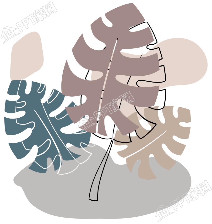 手绘龟背竹叶子植物图片素材