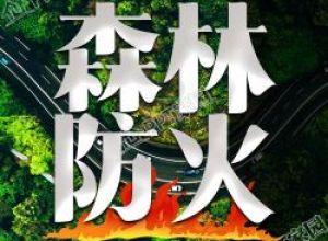 森林防火保护绿色家园实景图片公众号次图下载推荐