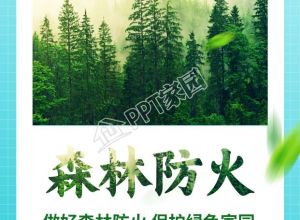 森林防火保护森林宣传吊牌样式图片宣传海报下载推荐