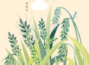 小满二十四节气麦穗蜻蜓手机海报下载推荐
