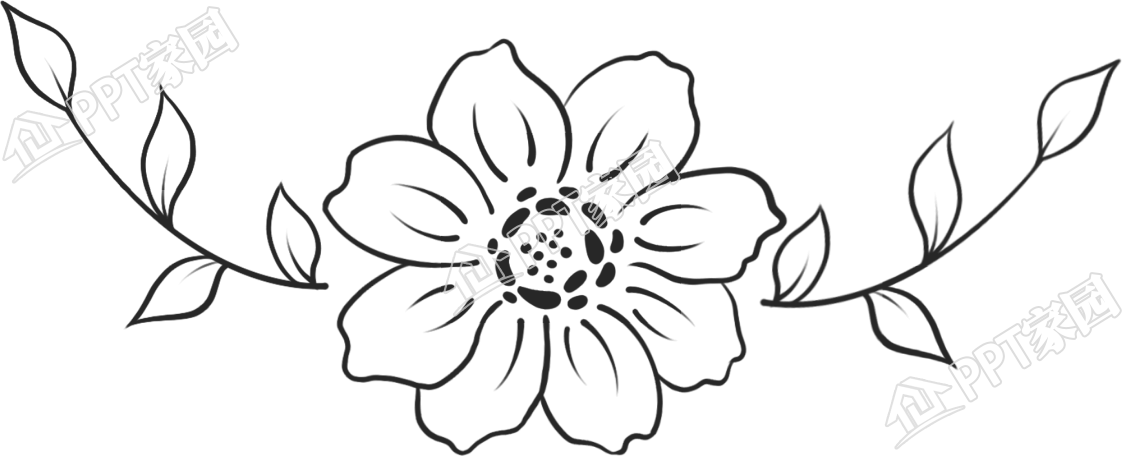黑白花草线条图片卡通手绘免抠素材