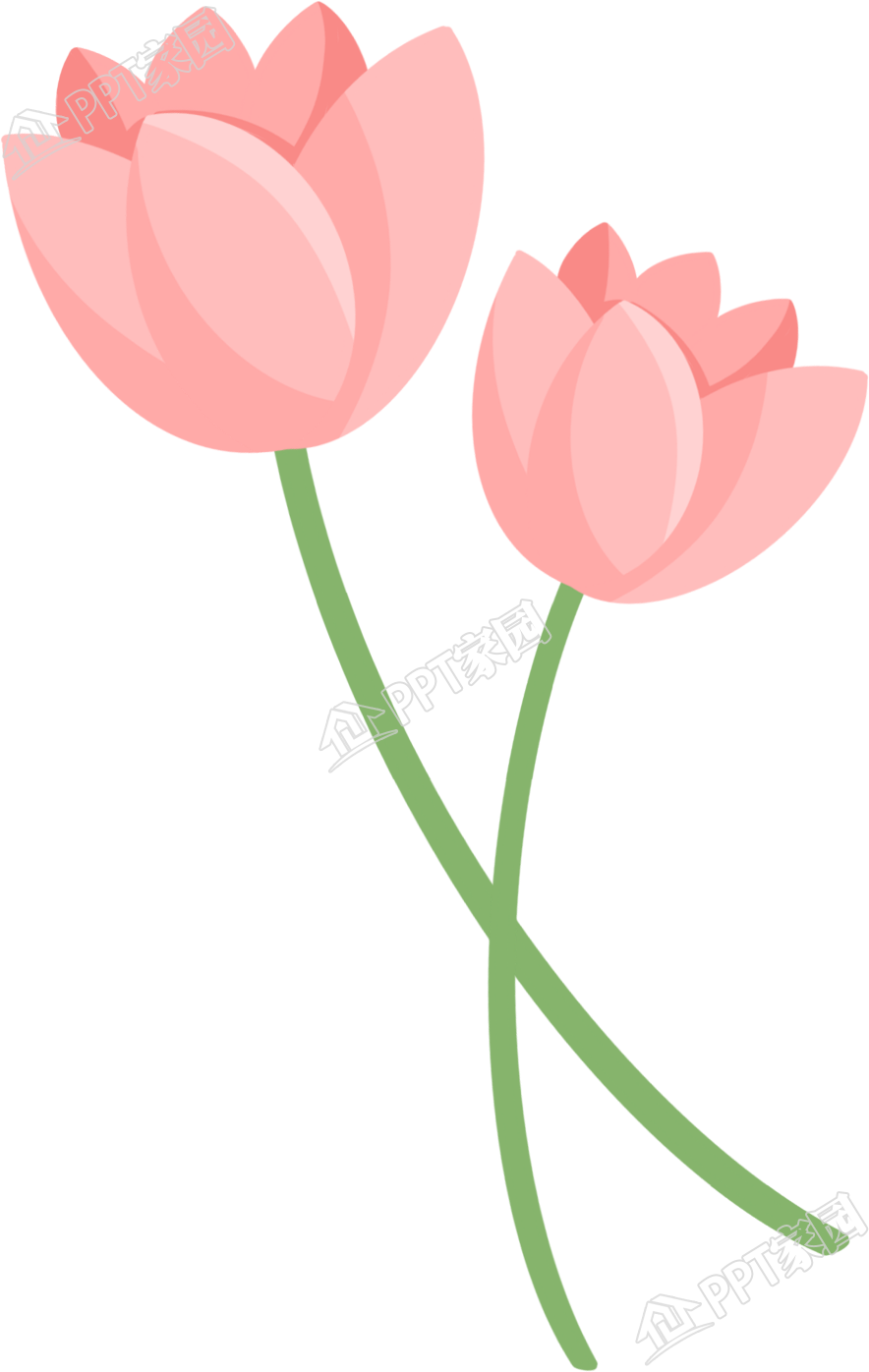 粉色两朵花图片卡通手绘免抠素材