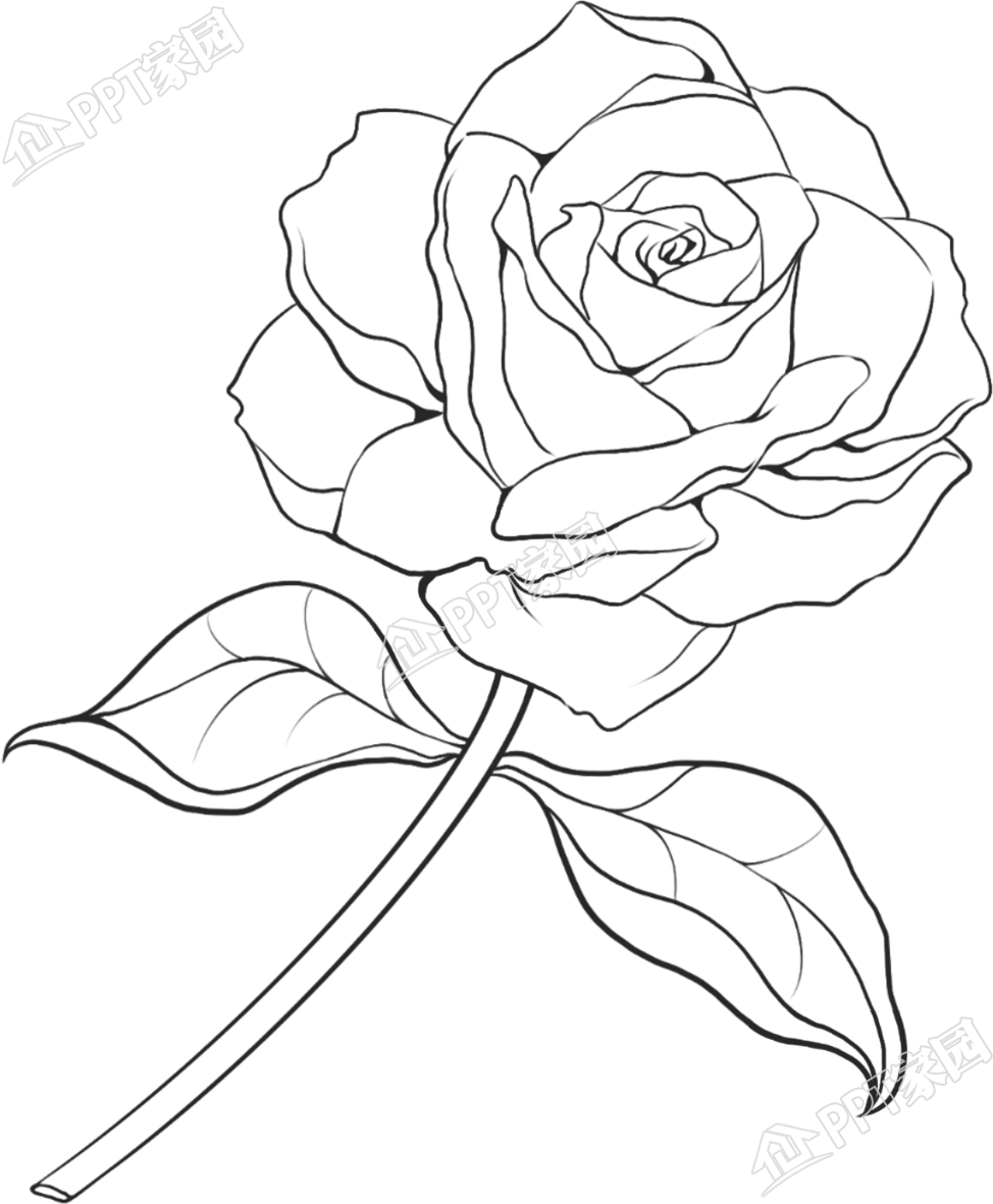 玫瑰简单黑色线条图片卡通手绘免抠素材