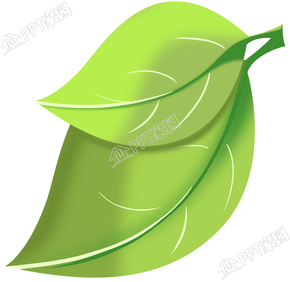 清新唯美绿色叶子图片装饰图案免抠素材