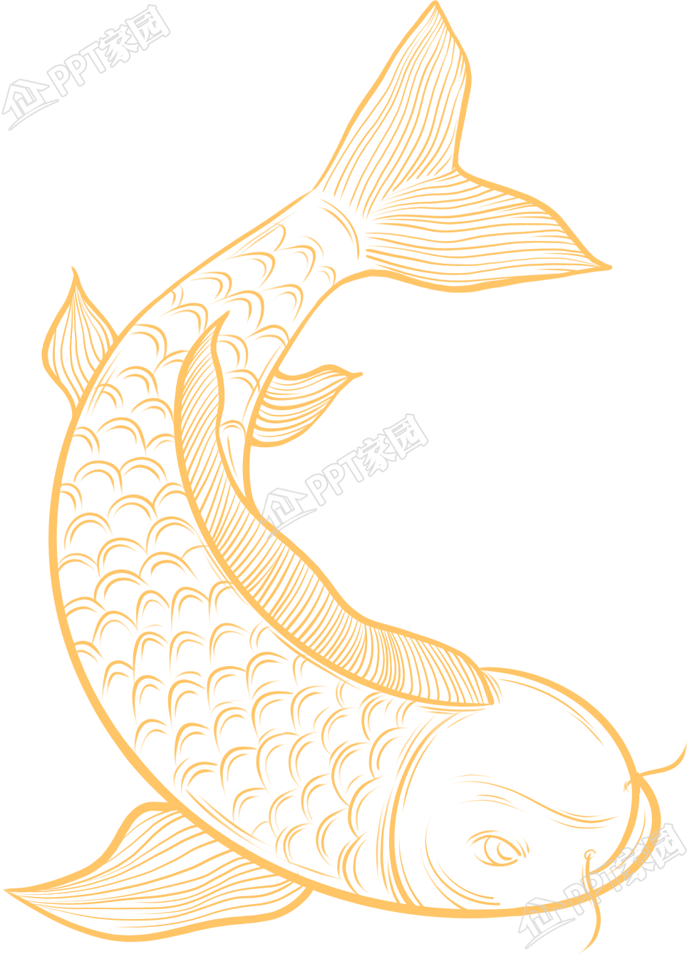 金色手绘简约线描鲤鱼图片素材