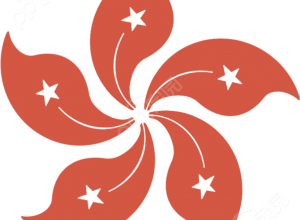 卡通手绘紫荆花庆祝香港回归装饰免抠图片素材下载推荐