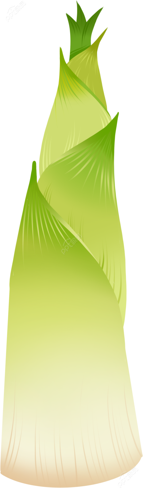 卡通手绘绿色春笋植物透明底免抠图片素材下载推荐