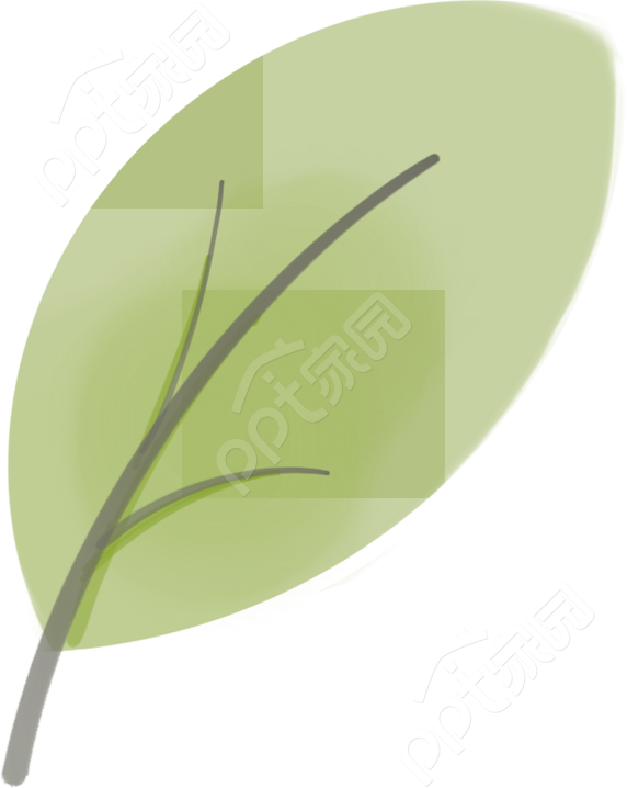 卡通手绘一片叶子植物图片免抠素材下载推荐