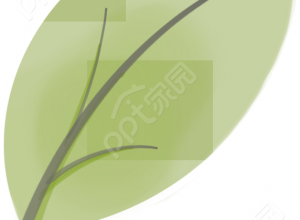 卡通手绘一片叶子植物图片免抠素材下载推荐